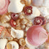 Pink White and Pearl Seashell Mix - 1 Kg